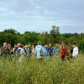 ... en voerde daarna door het groen van Thor Park  - 18 augustus 2019 - foto: Jan Colla